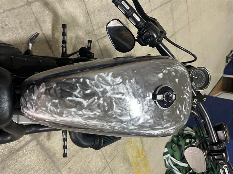 Harley-Davidson Sportster 1200 – Vista 7