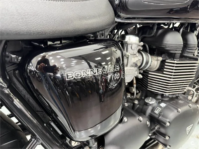 Triumph Bonneville T100 – Vista 14