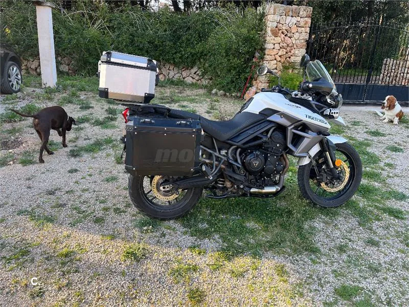 Triumph Tiger 800 XR - Vista 4