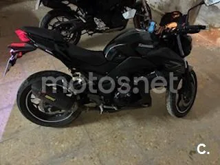 Kawasaki Z 300 – Vista 8