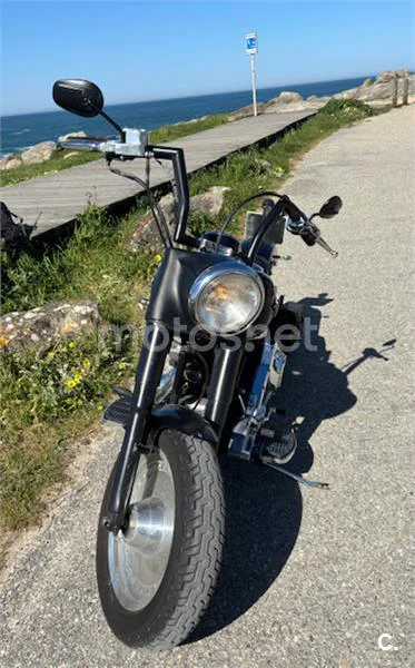 Harley-Davidson Fat Boy – Vista 3