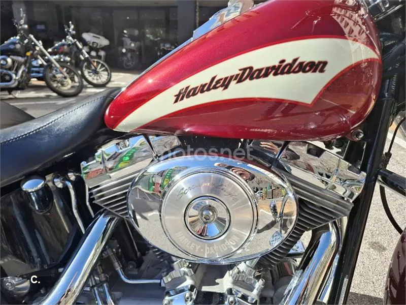 Harley-Davidson Softail Heritage – Vista 14