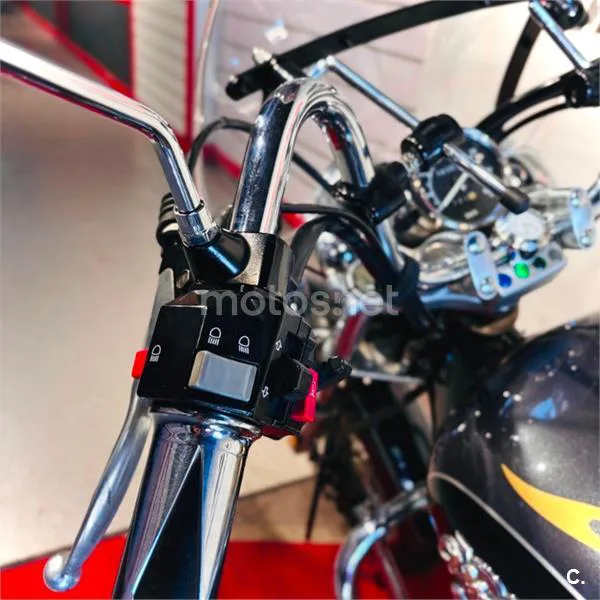 Yamaha XV 250 Virago – Vista 11