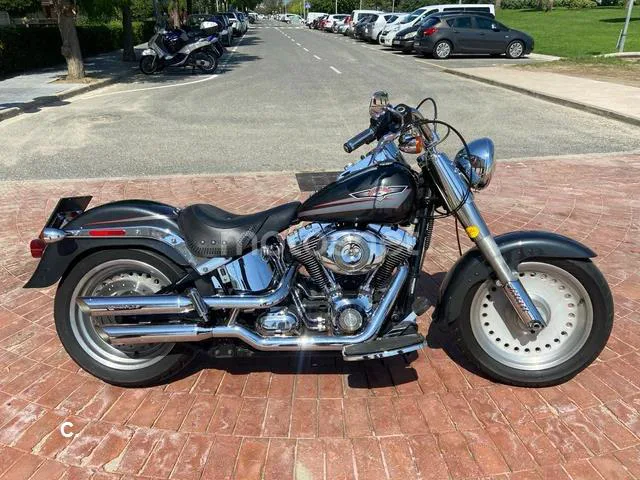 Harley-Davidson Fat Boy - Vista 5