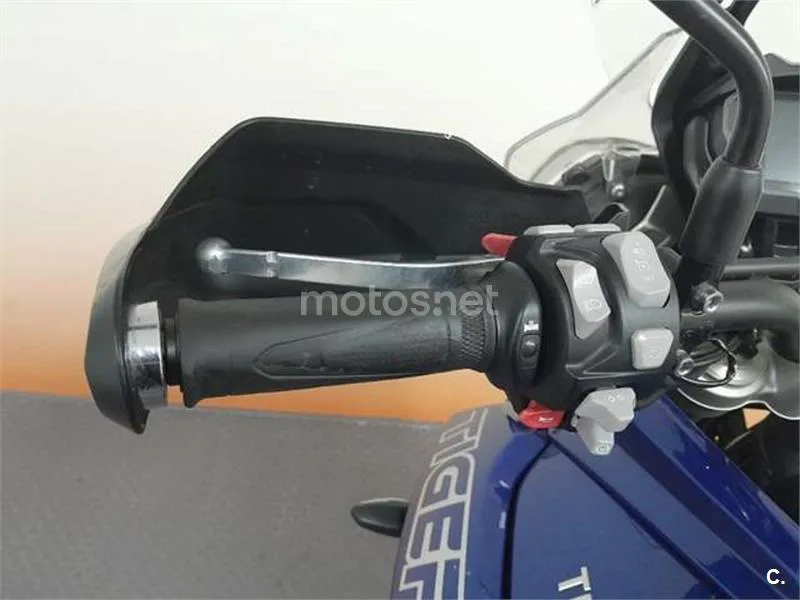 Triumph Tiger 800 XRT – Vista 12