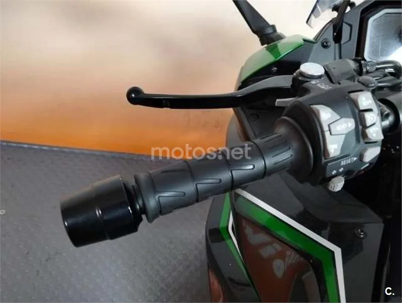 Kawasaki Ninja 1000 SX – Vista 12