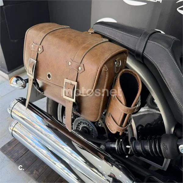 Indian Scout – Vista 6
