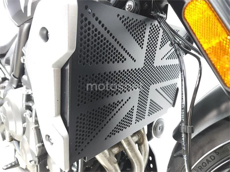 Triumph Trident 660 – Vista 13