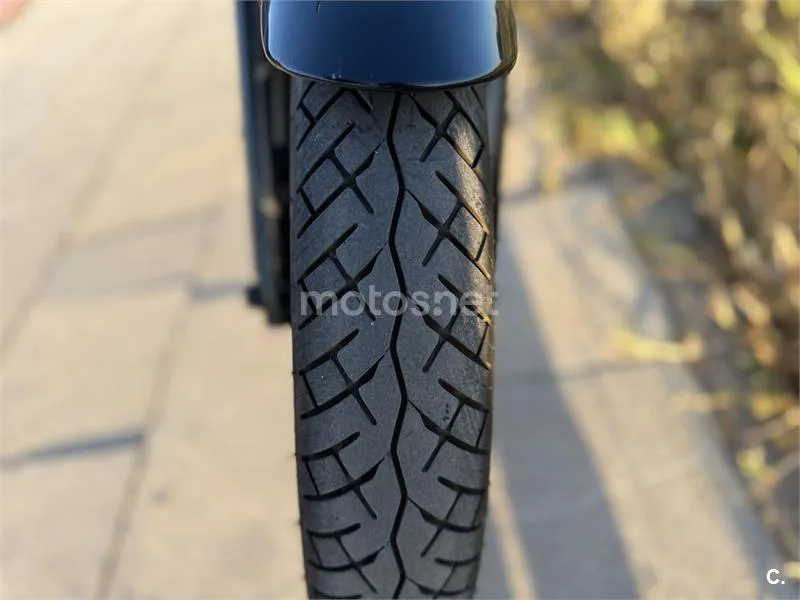 Kawasaki W800 – Vista 10