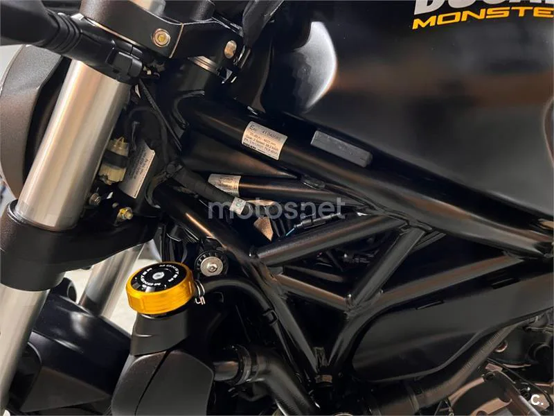 Ducati Monster 821 – Vista 55