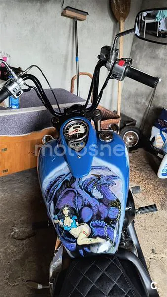 Kawasaki VN 900 CUSTOM – Vista 3