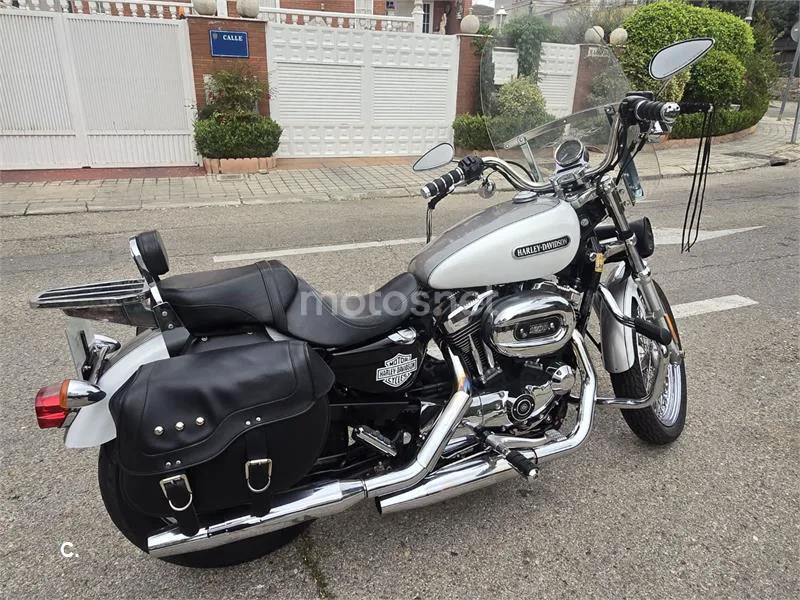 Harley-Davidson Sportster 1200 Sport - Vista 9