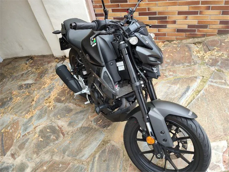Yamaha MT-125 – Vista 4