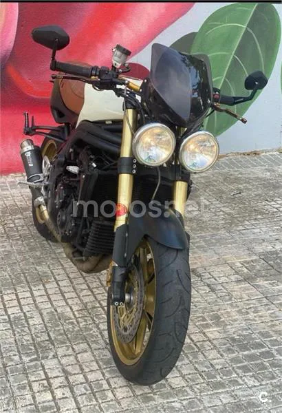 Triumph Speed Triple – Vista 5