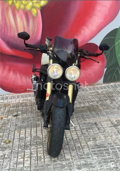 Triumph Speed Triple – Vista 6