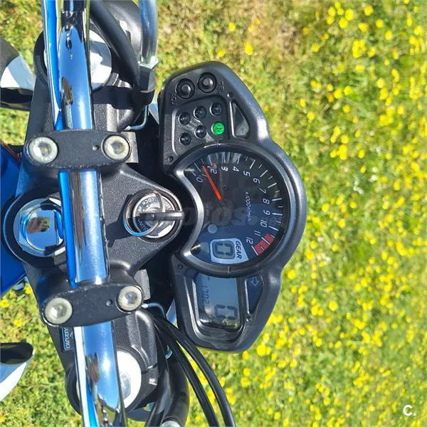 Suzuki Gladius 650 – Vista 4