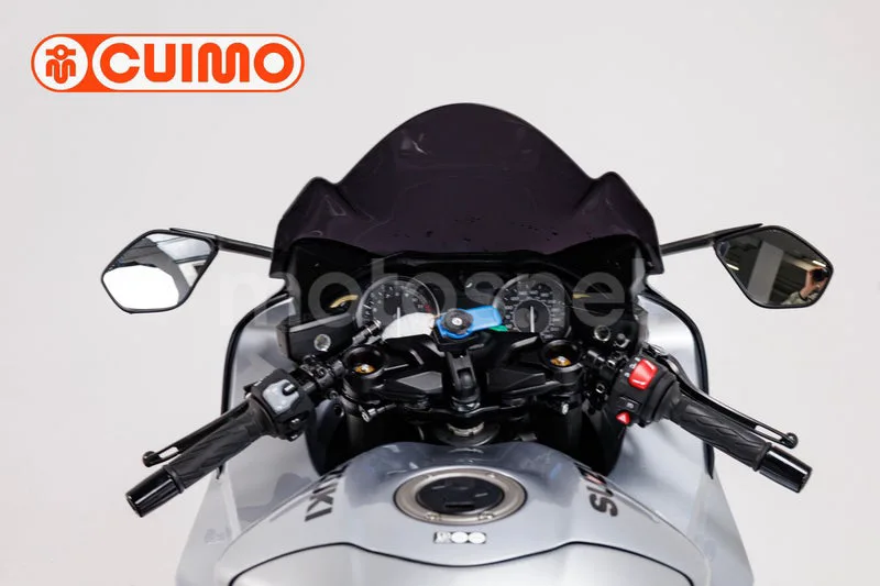 Suzuki Hayabusa – Vista 12