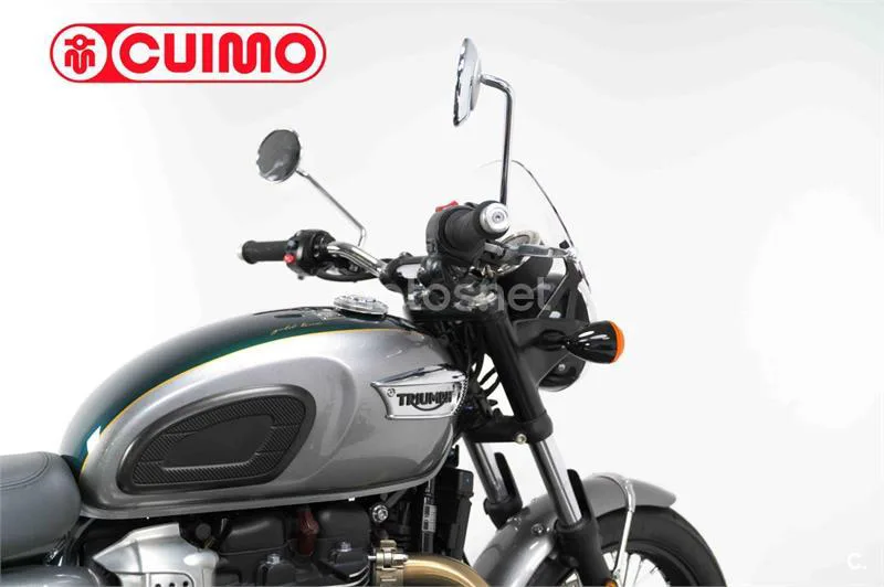 Triumph Bonneville T100 – Vista 15