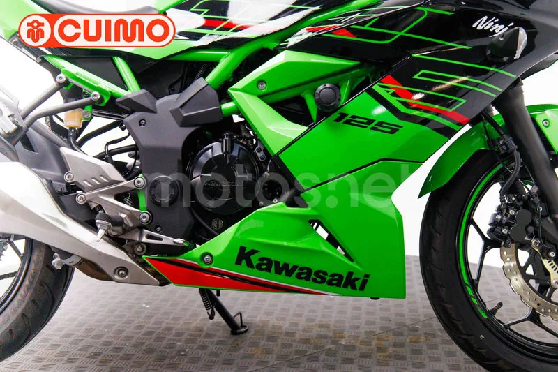 Kawasaki Ninja 125 – Vista 13