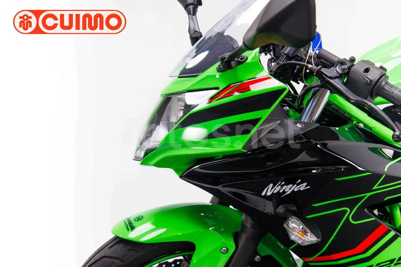 Kawasaki Ninja 125 – Vista 20