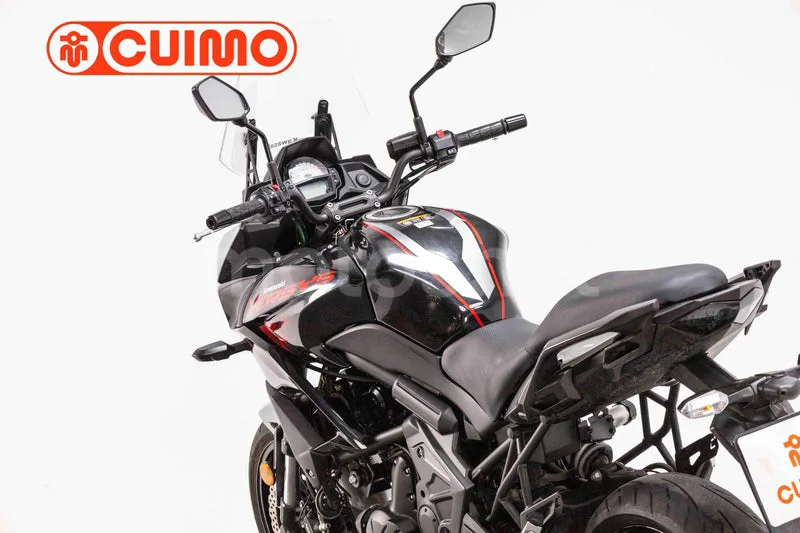Kawasaki Versys – Vista 15