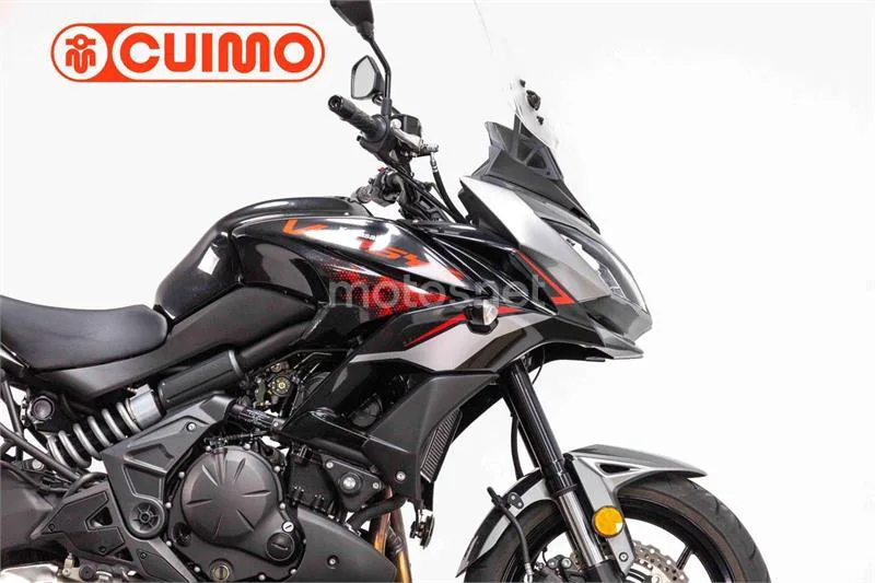 Kawasaki Versys – Vista 6