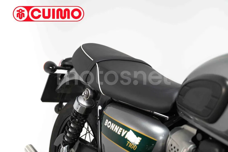 Triumph Bonneville T100 – Vista 12