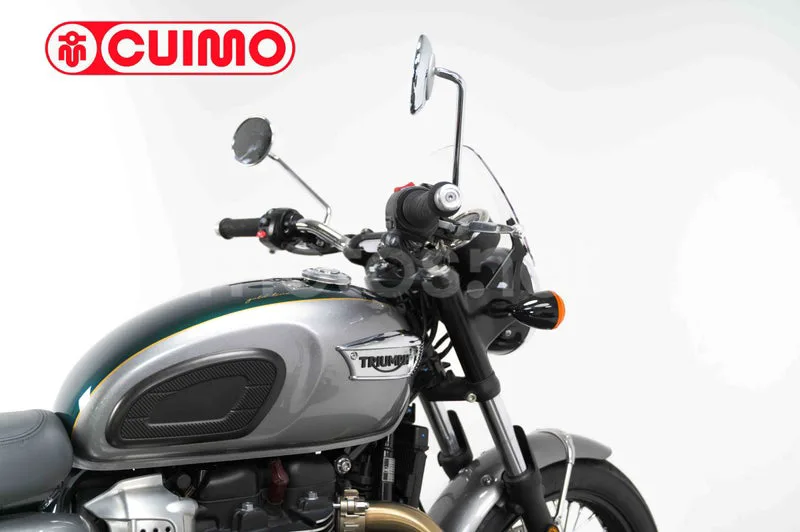 Triumph Bonneville T100 – Vista 15