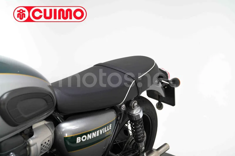 Triumph Bonneville T100 – Vista 23