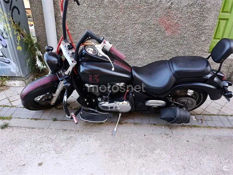 Kawasaki VN 900 Classic – Vista 2