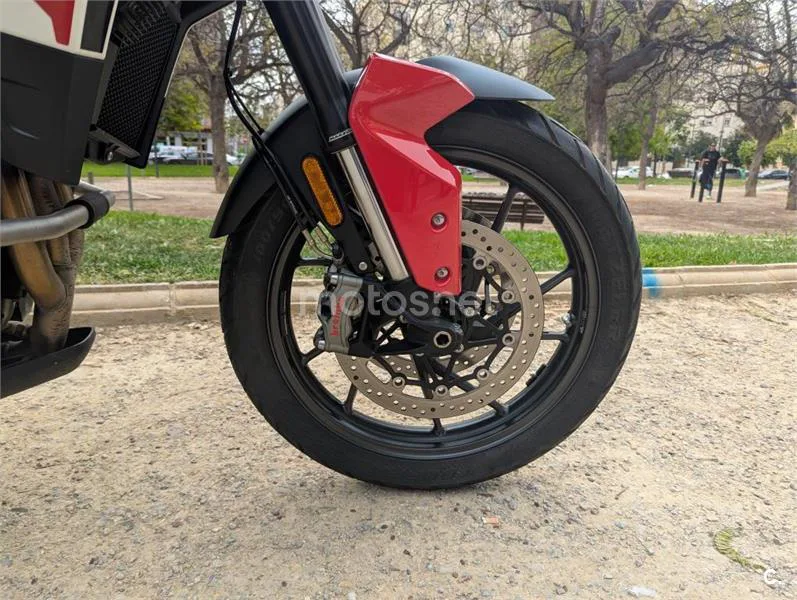 Triumph Tiger 900 – Vista 9