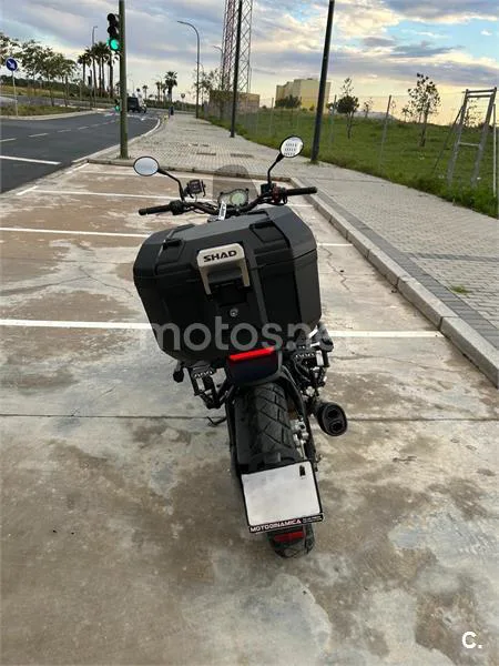 Benelli Leoncino 500 Trail – Vista 6