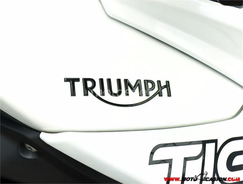 Triumph Tiger 800 XC – Vista 8