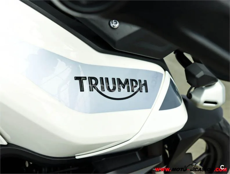 Triumph Tiger 900 – Vista 9