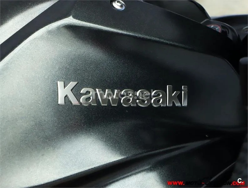 Kawasaki Z H2 – Vista 9
