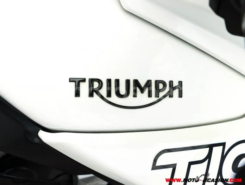 Triumph Tiger 800 XR – Vista 9