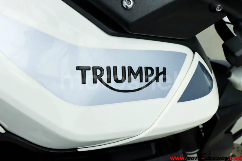 Triumph Tiger 900 – Vista 8