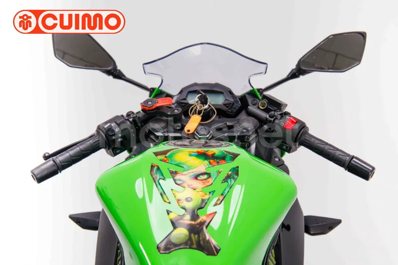 Kawasaki Ninja 125 – Vista 17