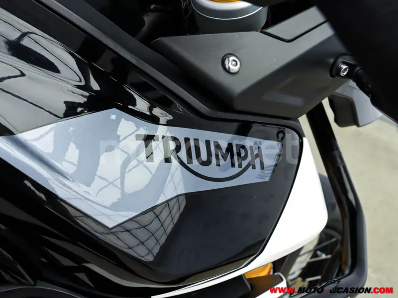 Triumph Tiger 900 – Vista 8