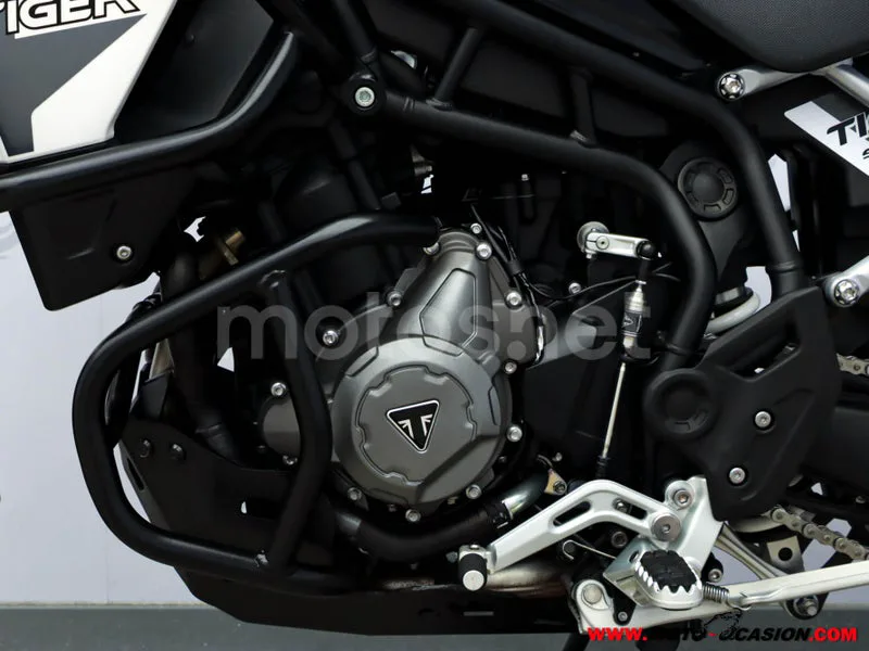 Triumph Tiger 900 – Vista 9