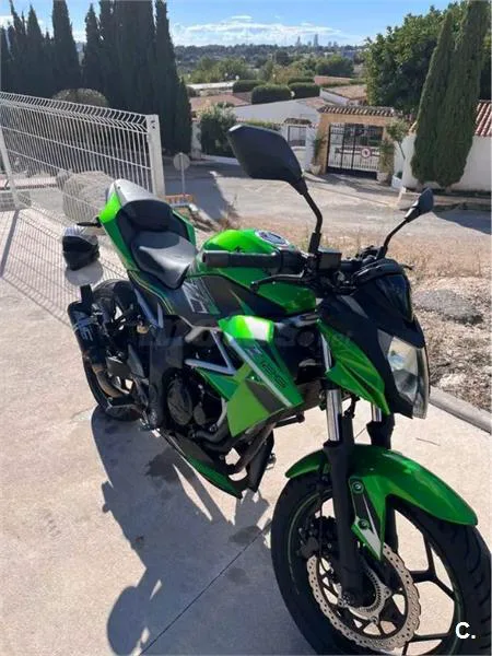 Kawasaki Z 125 – Vista 2