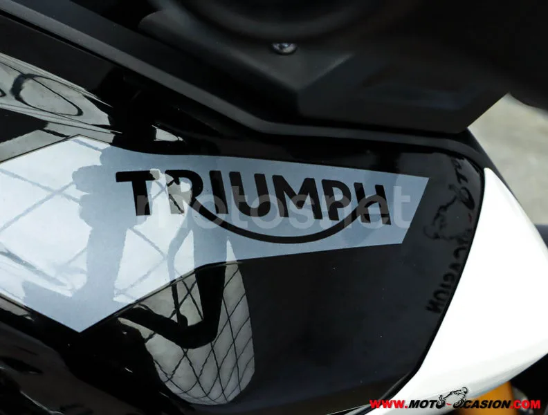 Triumph Tiger 900 – Vista 9
