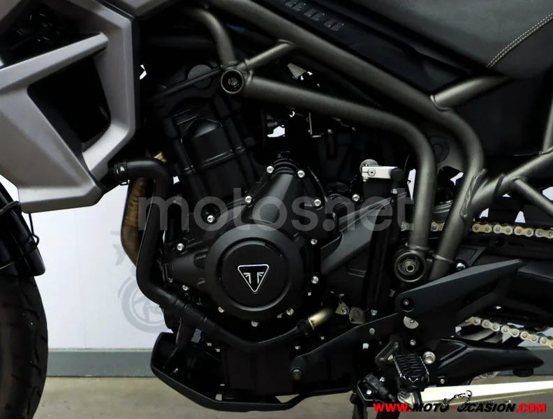 Triumph Tiger 800 – Vista 10