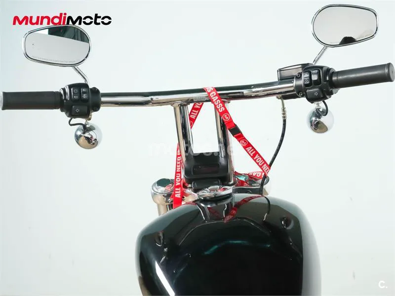 Harley-Davidson Softail Standard – Vista 11