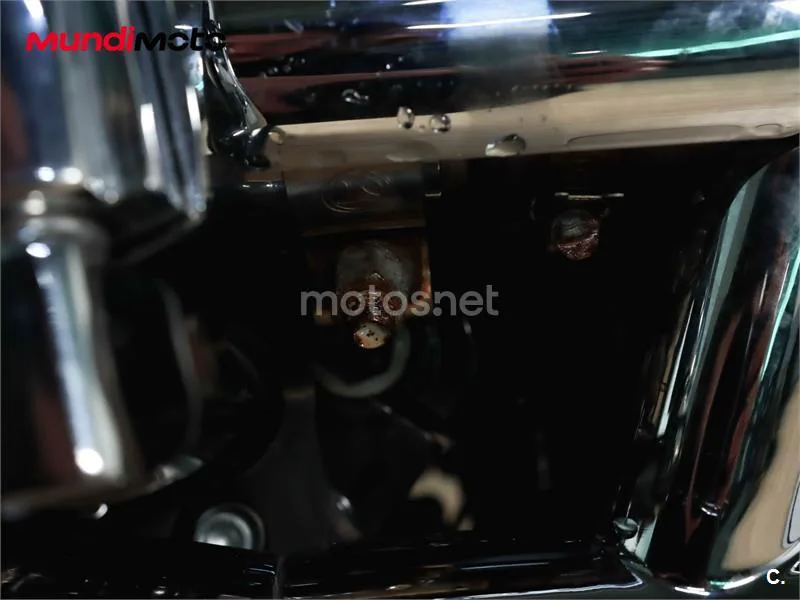 Harley-Davidson Softail Standard – Vista 17