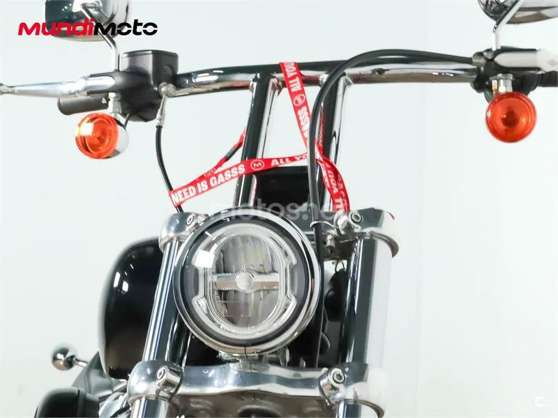 Harley-Davidson Softail Standard – Vista 5