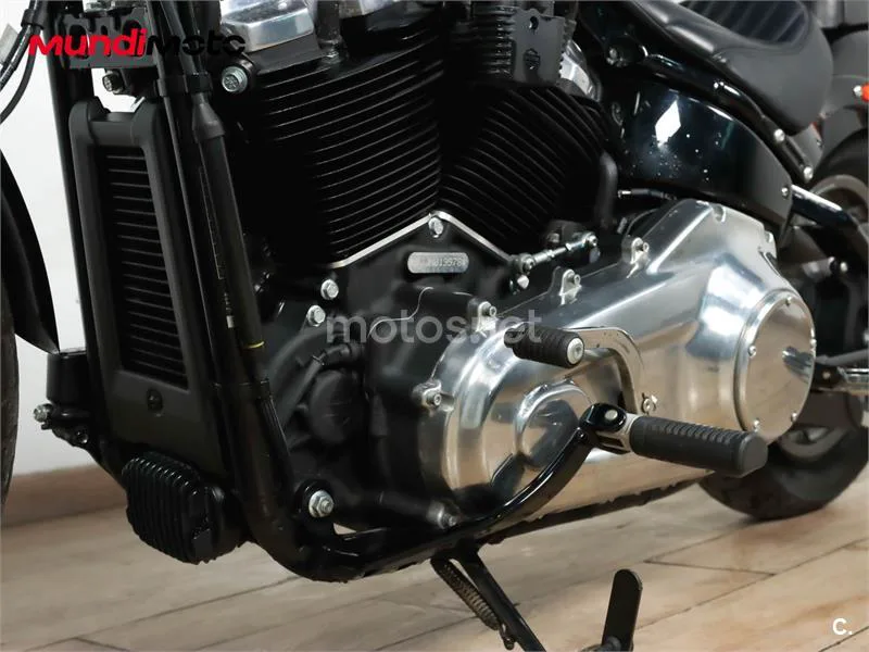 Harley-Davidson Softail Standard – Vista 10