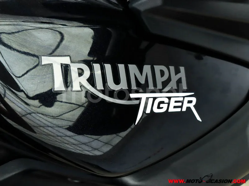 Triumph Tiger 800 – Vista 8