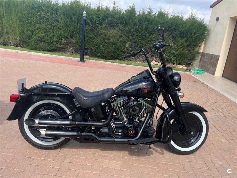 Harley-Davidson Bad Boy 1300 – Vista 2