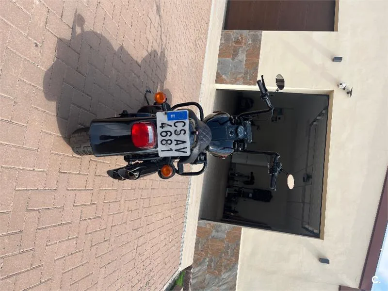 Harley-Davidson Bad Boy 1300 – Vista 3